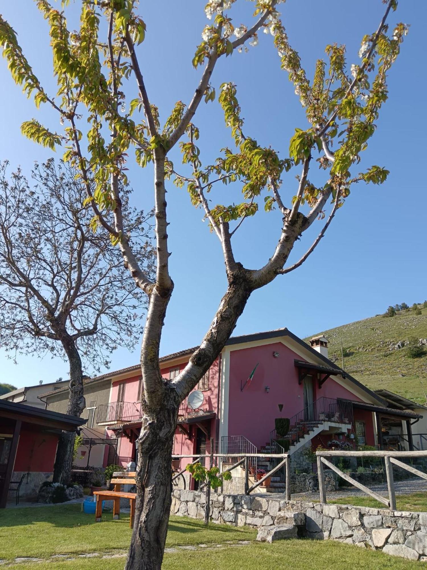 Agriturismo Casa Della Nonna Морманно Экстерьер фото
