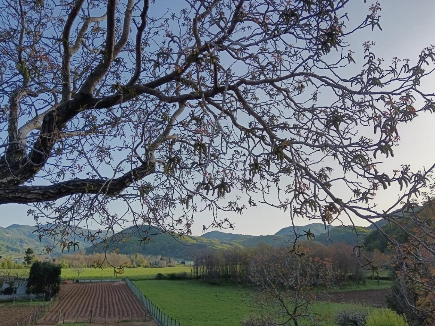 Agriturismo Casa Della Nonna Морманно Экстерьер фото